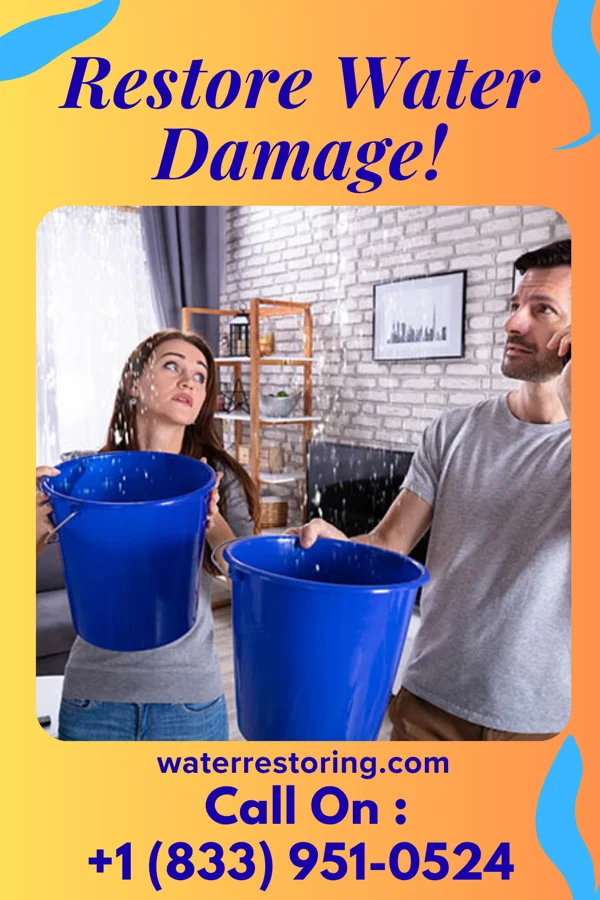 water restoration Coastal Sewage Cleanup Contractors Grafton