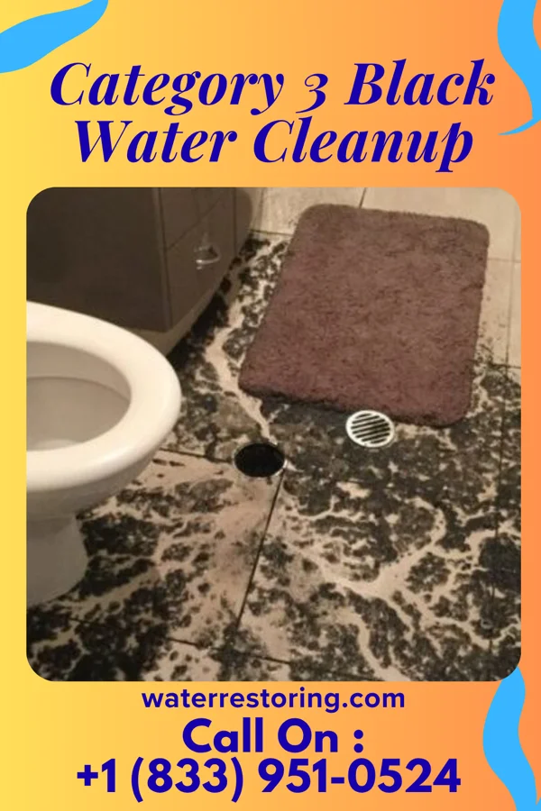 Category 3 Black Water Cleanup in Grafton, IL