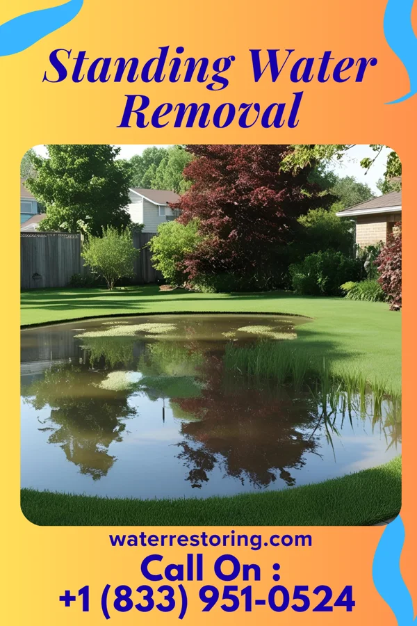Standing Water Removal in Grafton, IL